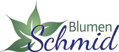 Blumen Schmid Regensburg